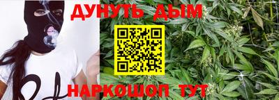 эйфоретик Славгород